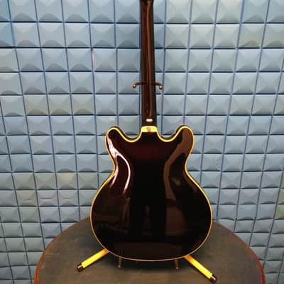 Guild Starfire SF-V 2018 - Black image 5