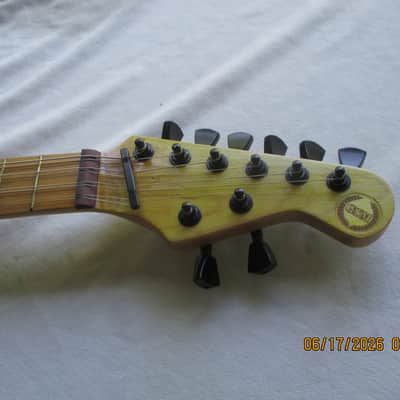 G.S.Monroe Electric Octave Mandolin 2026 - Blue image 3