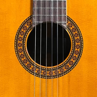 1971-1975 Epiphone EC24 Classical Guitar! MIJ Made In Japan! W/ Chipboard Case! image 11