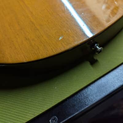 2000 Gibson Les Paul Special - Natural image 6