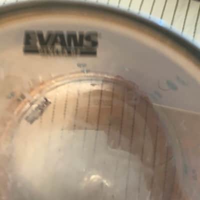 Slingerland Tom Chrome 3-ply 10x14 1960's-1970's image 5