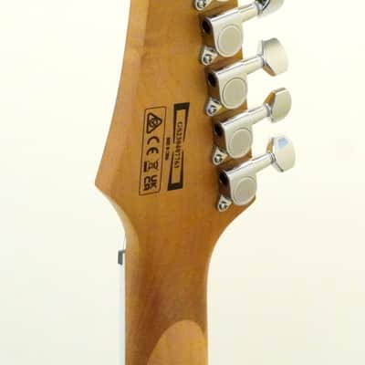 Ibanez Gio RG220PA1 Electric Guitar Trans Brown Black Burst image 10