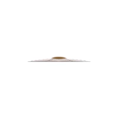 Zildjian S16TCR 16' S Trash Crash image 5