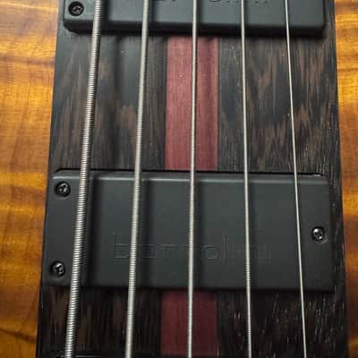 Warrior Custom 5 String Bass - Mint/ USA image 5