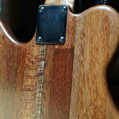 ADAMS GUITAR CO. Custom Handcrafted Electric Guitar "CHESTER DAVENPORT" image 15