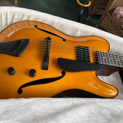 Tim Bram Tribute thinline archtop custom built image 8