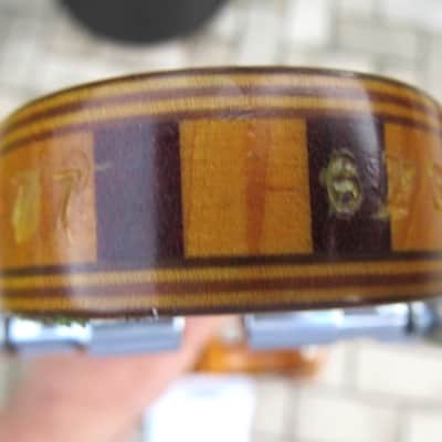 Alembic LSG Series I 12-string 1977 image 12