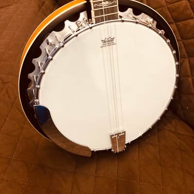 Washburn B10 Americana Series Remo Top Wood Mahogany Neck 5-String Banjo w/Mahogany Resonator image 8