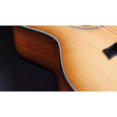 Taylor 50th Anniv. 314ce LTD Grand Auditorium Sapele/Torrefied Spruce Acoustic Electric Guitar image 5