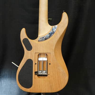 Washburn USA N4-Nuno Vintage Nuno Bettencourt 6-String w/ Hard Case image 6