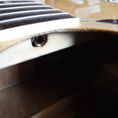 Acoustic W92 WOODS pro standard guitar, with full set up on new strings image 4