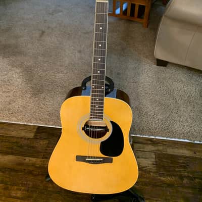 Zager Easy Play ZAD01PK N Acoustic Guitar image 2