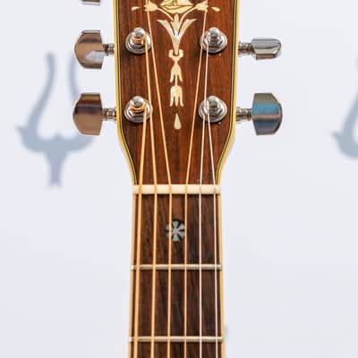 Daion YD-35 Acoustic Six String (built by Yamaki) image 18