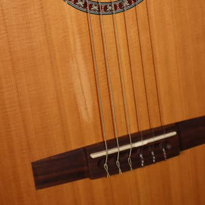 Godin Model # 049691 Etude Nylon String Classical Acoustic Guitar image 12