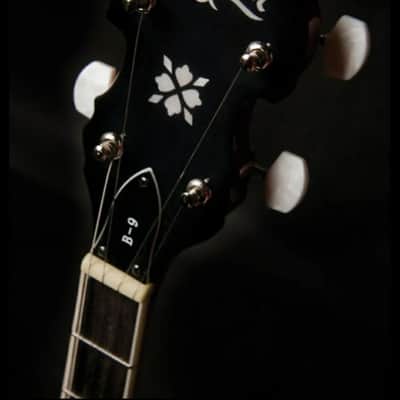 Washburn B9 Americana Series (5 String) Banjo. Sunburst image 2