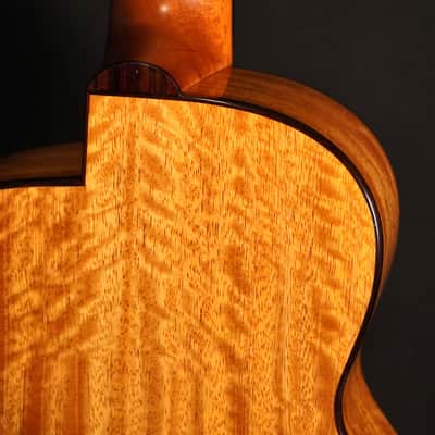 aNueNue UT166 Honey Sunburst Tenor 2025 image 9