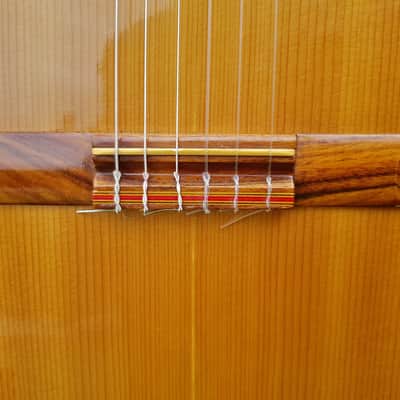 Giannini AWN 6 3/4 Classical Guitar 1980 - Natural / Figured Imbuia image 6