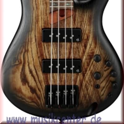Ibanez  SR600E AST E-Bass 4 String Antique Brown Stained Burst image 1