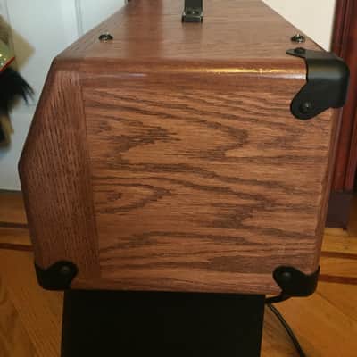 Traynor TS-50 Vintage Amplifier Head in Custom Cab image 7