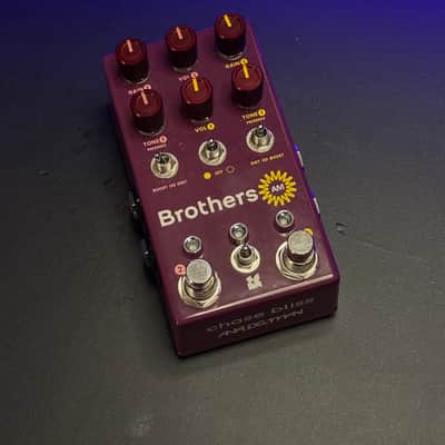 Chase Bliss Audio Brothers AM | Reverb