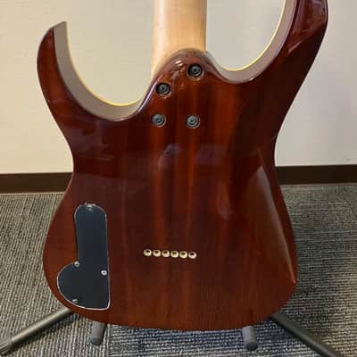 Ibanez PGM10TH Paul Gilbert 10th Anniversary Limited Edition w/ Original Strap, Tags & Paperwork image 8