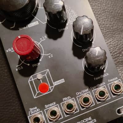 Holocene Electronics Non-Linear Memory Machine Eurorack Module Free Shipping! image 2