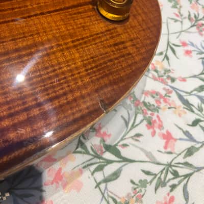 PRS SC 250 2007 - Tortoise Shell image 5