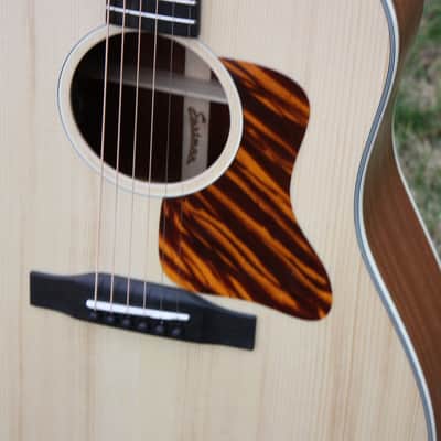 Eastman E1SS Ltd Edition image 12