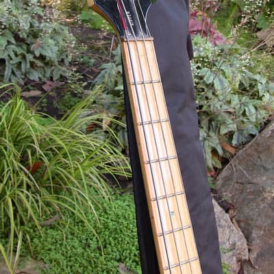 Epiphone Ripper 2006 Natural image 3