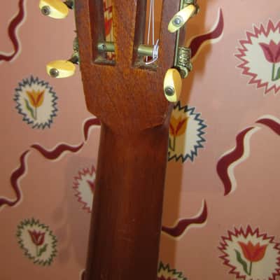 Washburn Model 1897 Parlor Guitar 1900s - Natural image 4