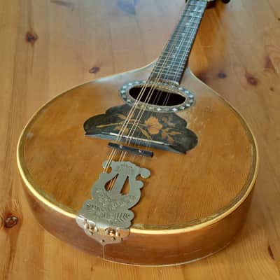 Cased George P. Matthew Mandolin 1882-1910 image 2