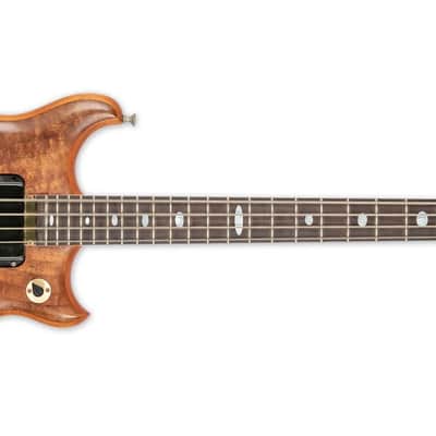 VINTAGE 1982 ALEMBIC SERIES 1 WITH CASE, POWER SUPPLY, AND ORIGINAL BILL OF SALE image 2