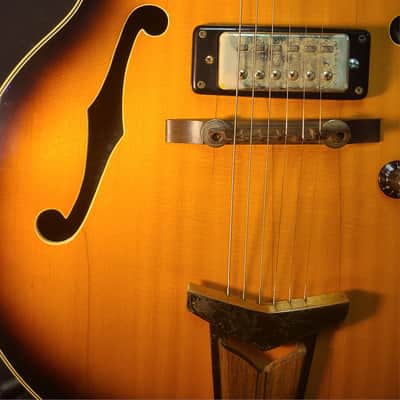 Raven Archtop Electric 1960's or early 70's - Tobacco brown sunburst image 7
