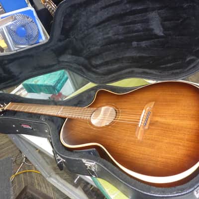 Alvarez AGW77CEAR Acoustic/Electric w/Case : Crowned & Dressed Frets image 1