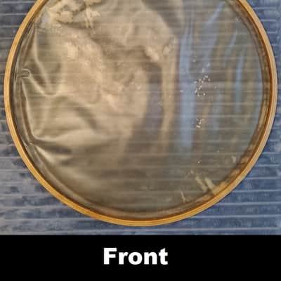 WOW! 1920 1930 1940s * 15" CALFSKIN DRUMHEAD N.O.S. SNARE BOTTOM * Factory labeled "SPECIAL" SELECTION & GOLD CROWN! Highest possible QUALITY! *New Old Stock* in ORIGINAL PACKAGING* Never been on a drum! Calf Skin Head image 3