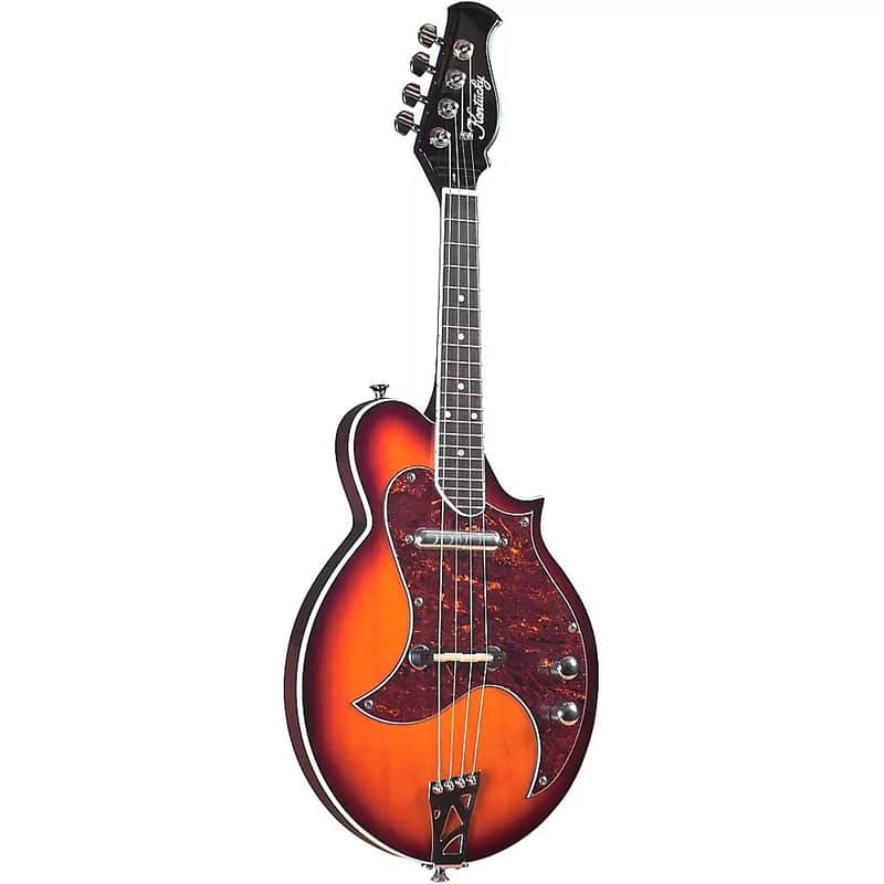Kentucky KM-300E 4-String Electric Mandolin image 1