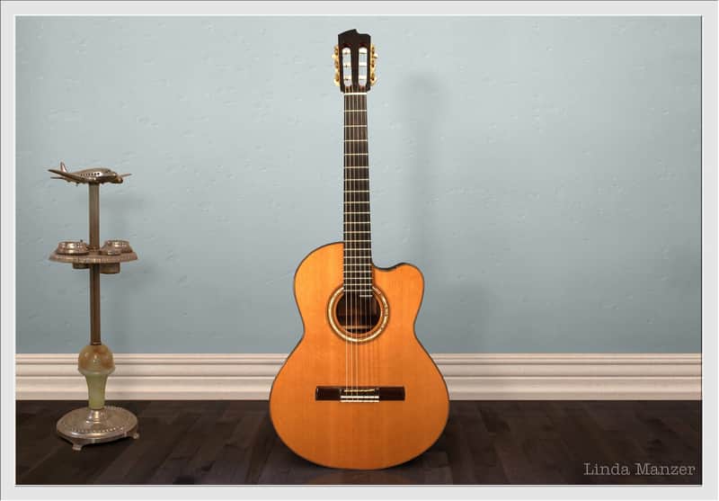 Linda Manzer Nylon String image 1