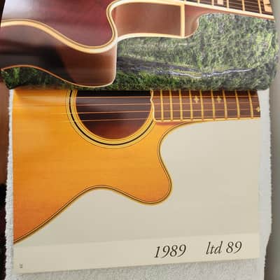 Takamine ST T EC “The Art Of Wood And Tone” 20th anniversary LTD guitars 2007 image 5