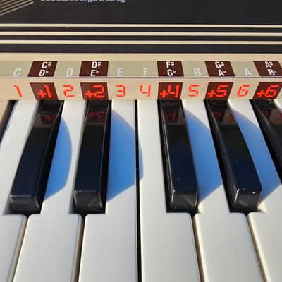 Bontempi : The MemoPLAY ( 70 ' S ) image 13