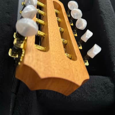 APC Viola Amarantina 2019 image 11