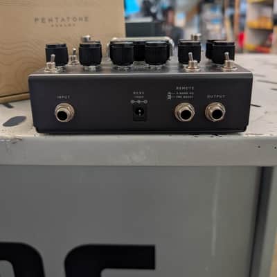 Ibanez PTPRE image 4