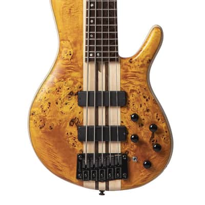 Cort Artisan Series A5 Plus 5 String Bass Guitar, Open Pore Amber (A5PLUSSCAOP) image 1
