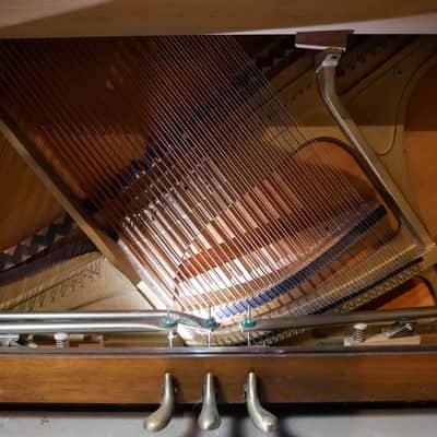 1981 Yamaha P202 image 4