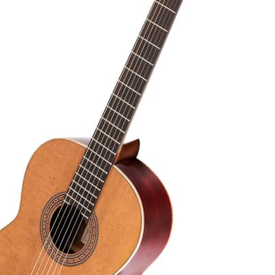 Ortega R200SN Traditional Series Cedar Top Mahogany Neck Nylon 6-String Classical Acoustic Guitar w/Gig Bag image 7