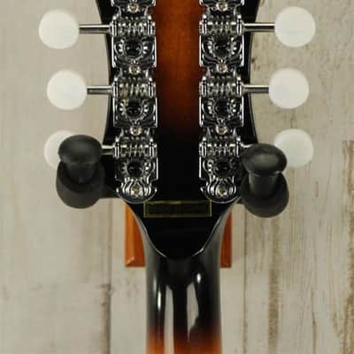 DEMO Gold Tone GM-35 - Tobacco Sunburst (384) image 6