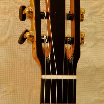 Patrick Mailloux spruce double top/ elevated fretboard/arm rest/sound port image 11