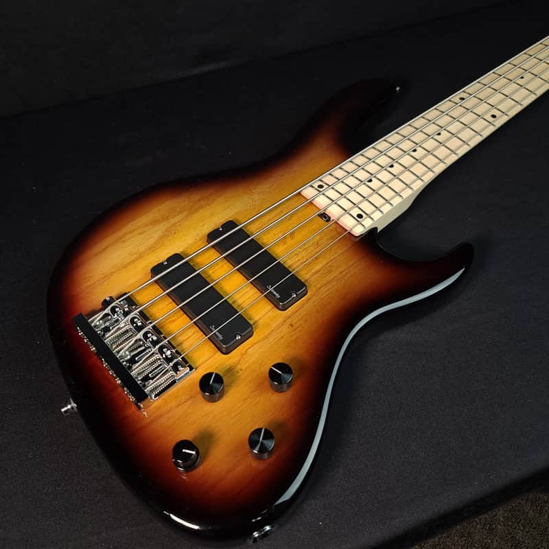 Sadowsky MetroLine Metro Line 5 String Modern 59 Burst with Bag image 1