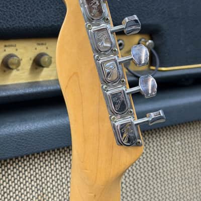 Fender Bullet H-2 with Maple Fretboard 1981 - 1983 - Walnut (Mocha) image 11