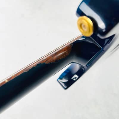 PRS Custom 24 10-Top Birds Brazilian Rosewood Gold Hardware 1990 - Royal Blue image 21