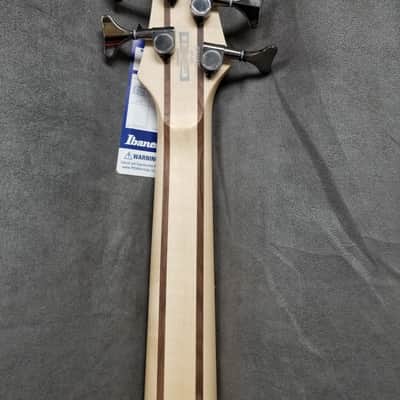 Ibanez SR305E-MSS Soundgear 5-String Bass Metallic Silver Sunburst image 5